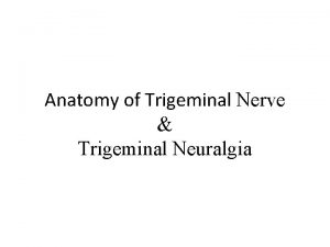 Anatomy of Trigeminal Nerve Trigeminal Neuralgia Contents Introduction