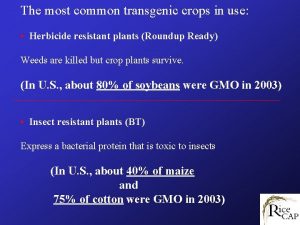 The most common transgenic crops in use Herbicide