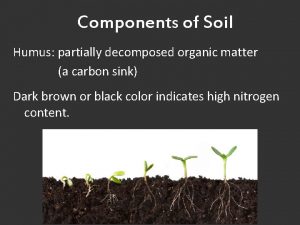 Partially decomposed organic matter in the soil is