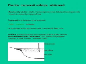 Plancton componenti ambiente adattamenti Plancton dal gr plankton