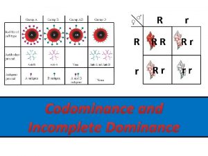 Codominance and Incomplete Dominance Types of Dominance What