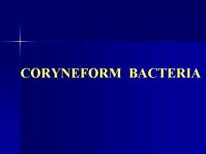 CORYNEFORM BACTERIA Diphteroids Pleomorphic grampositive rods Club Shaped