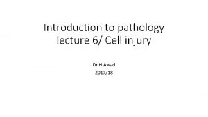 Introduction to pathology lecture 6 Cell injury Dr