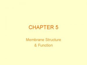 CHAPTER 5 Membrane Structure Function Plasma Membrane Selectively