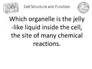 Cell Structure and Function Which organelle is the