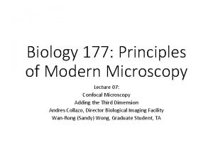 Biology 177 Principles of Modern Microscopy Lecture 07