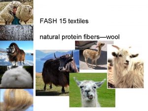 FASH 15 textiles natural protein fiberswool natural protein