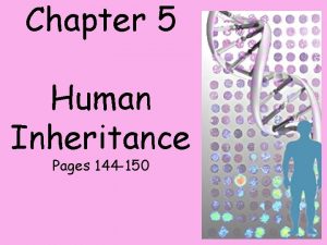 Chapter 5 Human Inheritance Pages 144 150 So