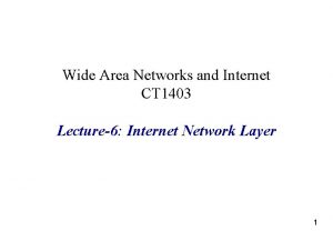 Wide Area Networks and Internet CT 1403 Lecture6