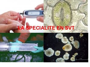 LA SPECIALITE EN SVT POURQUOI CHOISIR SVT Le