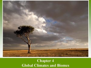 Chapter 4 Global Climates and Biomes Global Processes