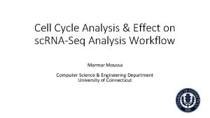 Cell Cycle Analysis Effect on sc RNASeq Analysis