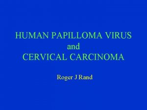 HUMAN PAPILLOMA VIRUS and CERVICAL CARCINOMA Roger J