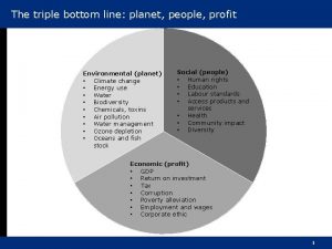 The triple bottom line planet people profit Environmental