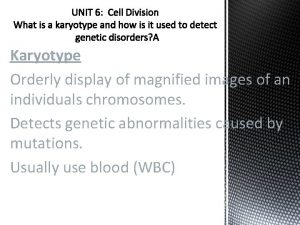 Karyotype Orderly display of magnified images of an