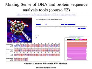 Making Sense of DNA and protein sequence analysis