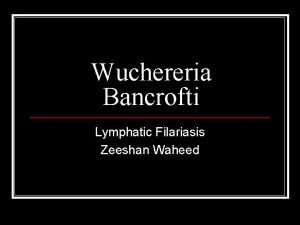 Wuchereria Bancrofti Lymphatic Filariasis Zeeshan Waheed Recap q