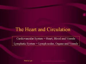 The Heart and Circulation Cardiovascular System Heart Blood