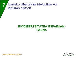 Biodibertsitatea