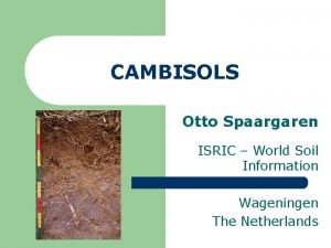CAMBISOLS Otto Spaargaren ISRIC World Soil Information Wageningen