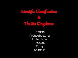 Scientific Classification The Six Kingdoms Protista Archaebacteria Eubacteria