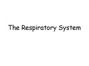 The Respiratory System Respiratory System Functions Pulmonary ventilation