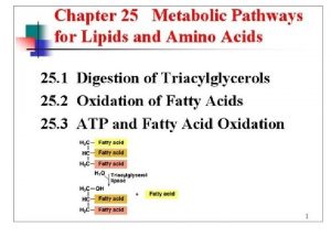 Lipid Metabolism Lipid Metabolism Lipid Metabolism Lipid Metabolism