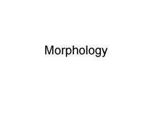 Morphology Morphology The study of words Studies the