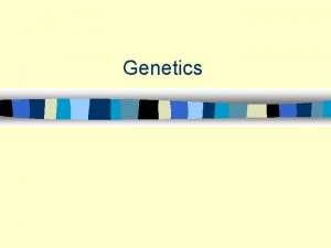 Genetics Human Chromosomes n karyotype an image showing