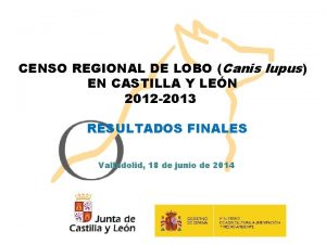 CENSO REGIONAL DE LOBO Canis lupus EN CASTILLA