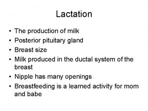 Lactation The production of milk Posterior pituitary gland