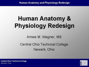 Human Anatomy and Physiology Redesign Human Anatomy Physiology