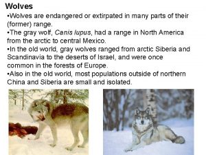 Wolves Wolves are endangered or extirpated in many