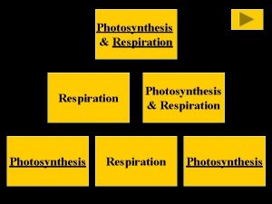 Photosynthesis Respiration Photosynthesis Photosynthesis Where does photosynthesis take