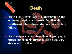 Death n n Death results from loss of