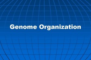 Genome Organization Genome q Complete set of instructions