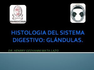 HISTOLOGIA DEL SISTEMA DIGESTIVO GLNDULAS DR HENRRY GEOVANNI