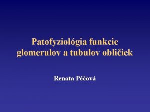 Patofyziolgia funkcie glomerulov a tubulov obliiek Renata Pov
