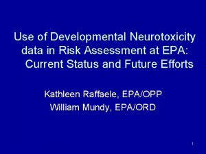 Use of Developmental Neurotoxicity data in Risk Assessment