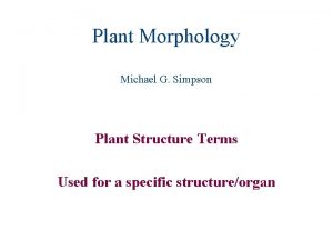 Plant Morphology Michael G Simpson Plant Structure Terms