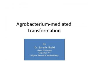 Agrobacteriummediated Transformation By Dr Zaryab Khalid Class BS