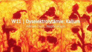 W 11 Dyselektrolytmie Kalium Adrian Duss Nephrologie Ziel
