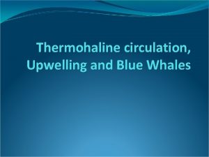 Thermohaline circulation Upwelling and Blue Whales Salt changes