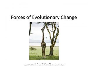 Forces of Evolutionary Change Giraffe rubberballGetty Images RF