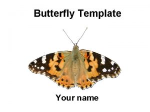 Butterfly Template Your name Example Bullet Point Slide