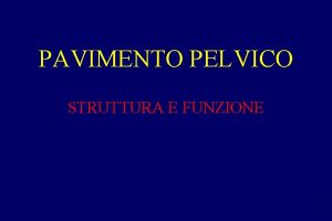 PAVIMENTO PELVICO STRUTTURA E FUNZIONE 3 PIANI MUSCOLOAPONEUROTICI