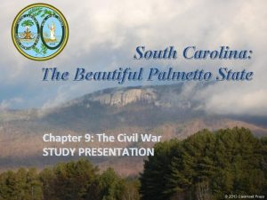 South carolina the beautiful palmetto state