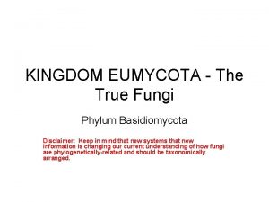 KINGDOM EUMYCOTA The True Fungi Phylum Basidiomycota Disclaimer