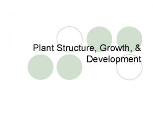 Plant Structure Growth Development The Diversity of Angiosperms