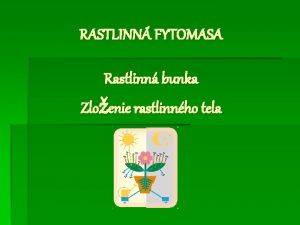 RASTLINN FYTOMASA Rastlinn bunka Zloenie rastlinnho tela Rastlinn